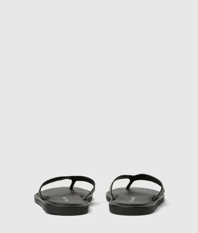 Karl Lagerfeld Kastor IV slides